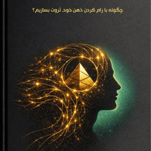 قانونگذاری برای ثروت - علیرضا میریک امامی
